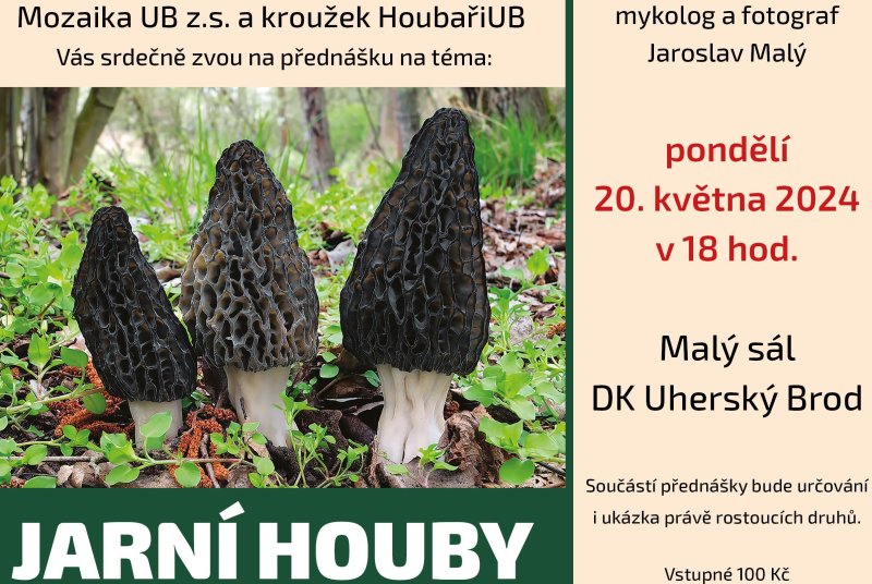 Jarní houby_A3_naležato1 (002).jpg
